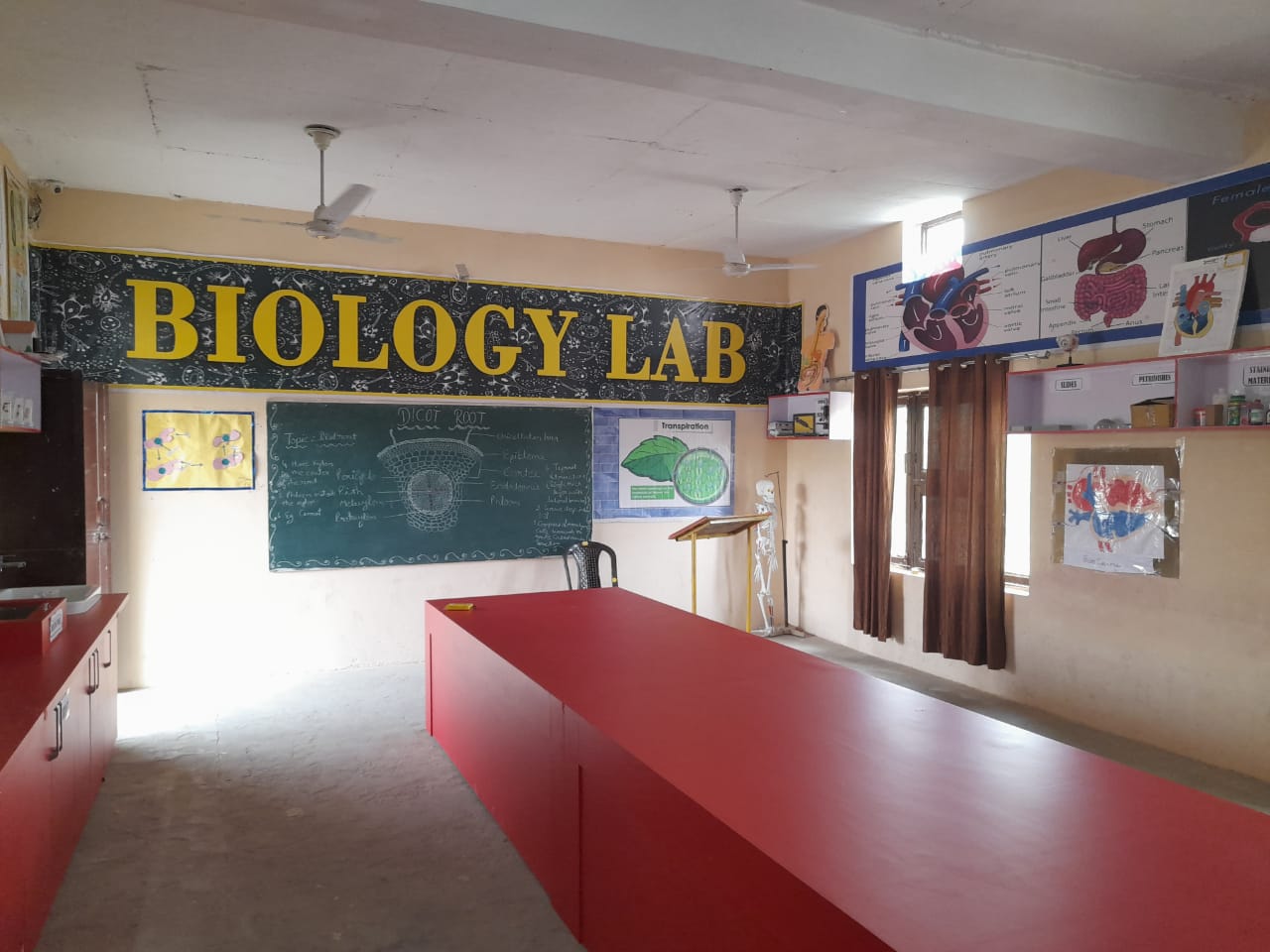 Bio Lab